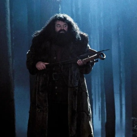 Robbie Coltrane's played Rubeus Hagrid in the Harry Potter Film Series.